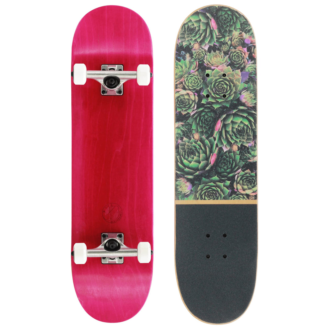 BTFL Komplettboard, Skateboard Deck 8.125" mit ABEC 9 Kugellager für Anfänger und Fortgeschrittene,