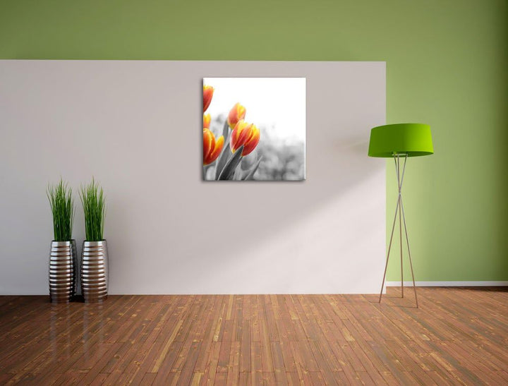 Pixxprint Bunte Tulpenwiese als Leinwandbild Quadratisch/Grösse: 70x70 / Wandbild/Kunstdruck/fertig