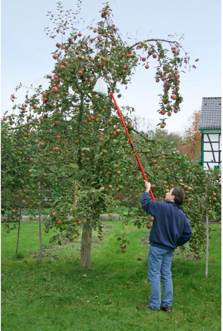Obstpflücker mit Teleskopstiel