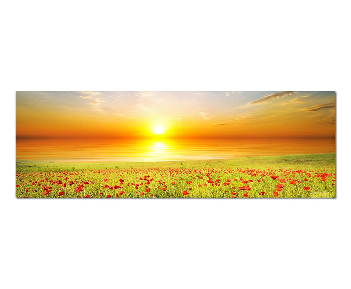 Paul Sinus Art Panoramabild auf Leinwand und Keilrahmen 150x50cm Mohnblumen Feld Frühling Sonnenunte
