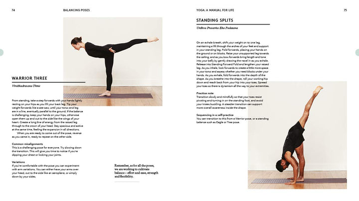 Yoga: A Manual for Life, Gebundenes Buch