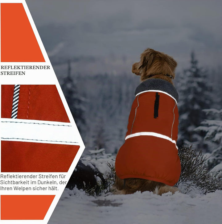 QBLEEV Hundewintermantel, warm, reflektierende Hundejacke, Rollkragen, wasserdicht, für kaltes Wette
