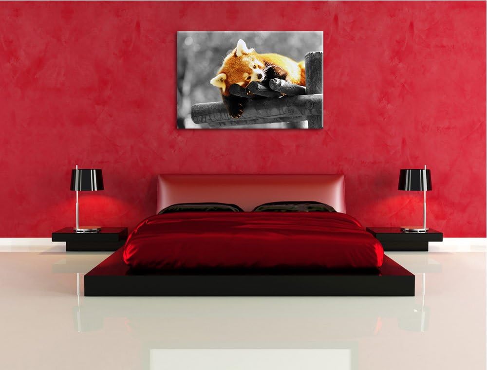 süsser Panda träumt schwarz/weiss Format: 100x70 auf Leinwand, XXL riesige Bilder fertig gerahmt mit