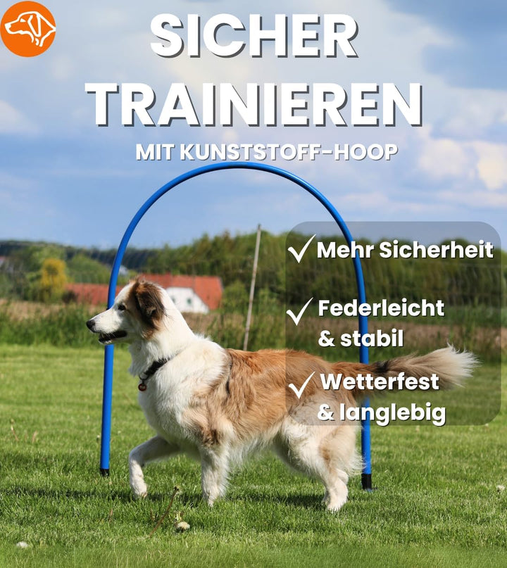 Hoopers Hoop – wetterfest, VDH-konform &amp; farbig – mit Stecksystem für sicheres Hundetraining – aus r