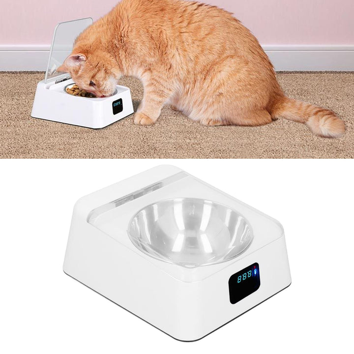 Katzenfutter Automat, Futterautomat Katze Automatisch Katze Futternapf mit Sensor Automatischer Futt