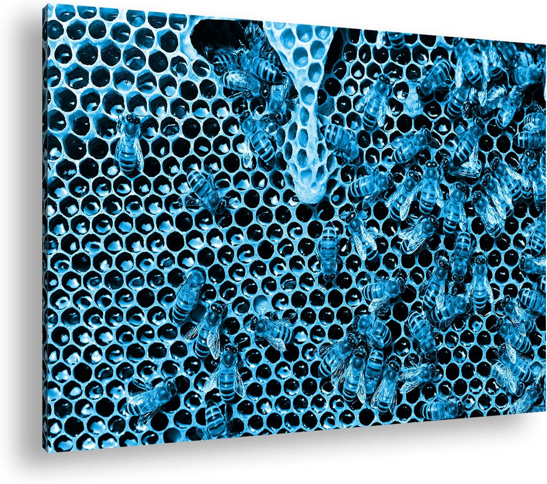 deyoli atemberaubende Honigwabe mit Bienen Format 80x60 Effekt: Monocrome Blau als Leinwandbild, Mot