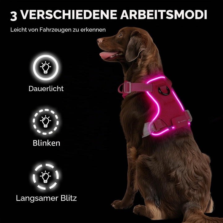 MASBRILL Hundegeschirr Leuchtend, LED Hundegeschirr Aufladbar &amp; Einstellbar für Welpen Kleiner Mittl