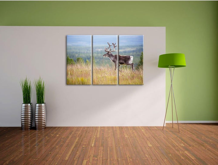 Pixxprint Rentier in Norwegen als Leinwandbild | Grösse: 3 Teilig (120x80) | Wandbild| Kunstdruck |