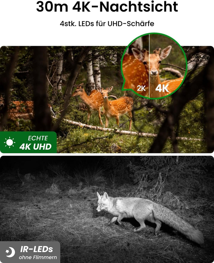 Reolink 4K 3G/4G LTE PTZ Überwachungskamera Aussen mit SIM-Karte, Wildkamera mit Bewegungsmelder Nac