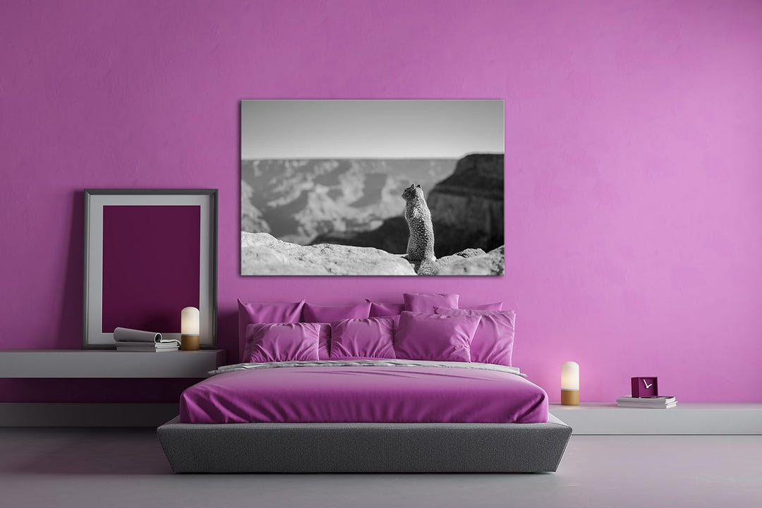 deyoli einsames Eichhörnchen am Canyon Effekt: Schwarz/Weiss Format: 60x40 als Leinwand, Motiv ferti