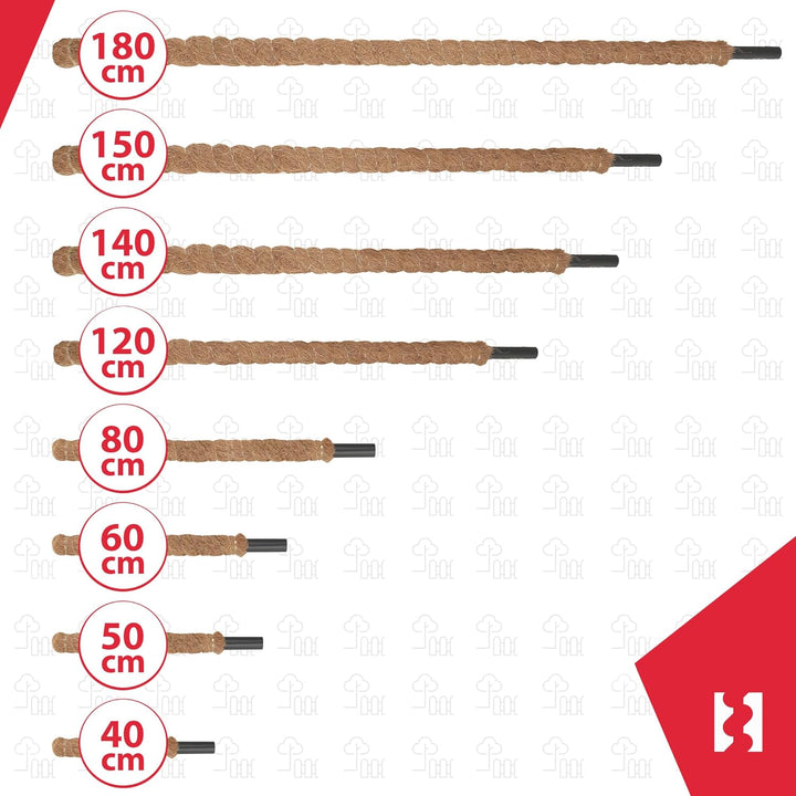 KOTARBAU® 4er Set Moosstab für Monstera Kokos Natural ⌀ 2,5 x 80cm Pflanzenstab Rankhilfe für Monste