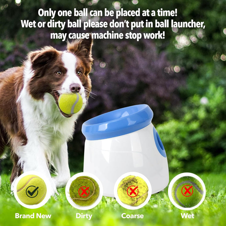 Pet Prime Automatischer Ballwerfer, Hunde Ball Interaktive Ballwurfmaschine, 3 Tennisbälle Inkl, Int
