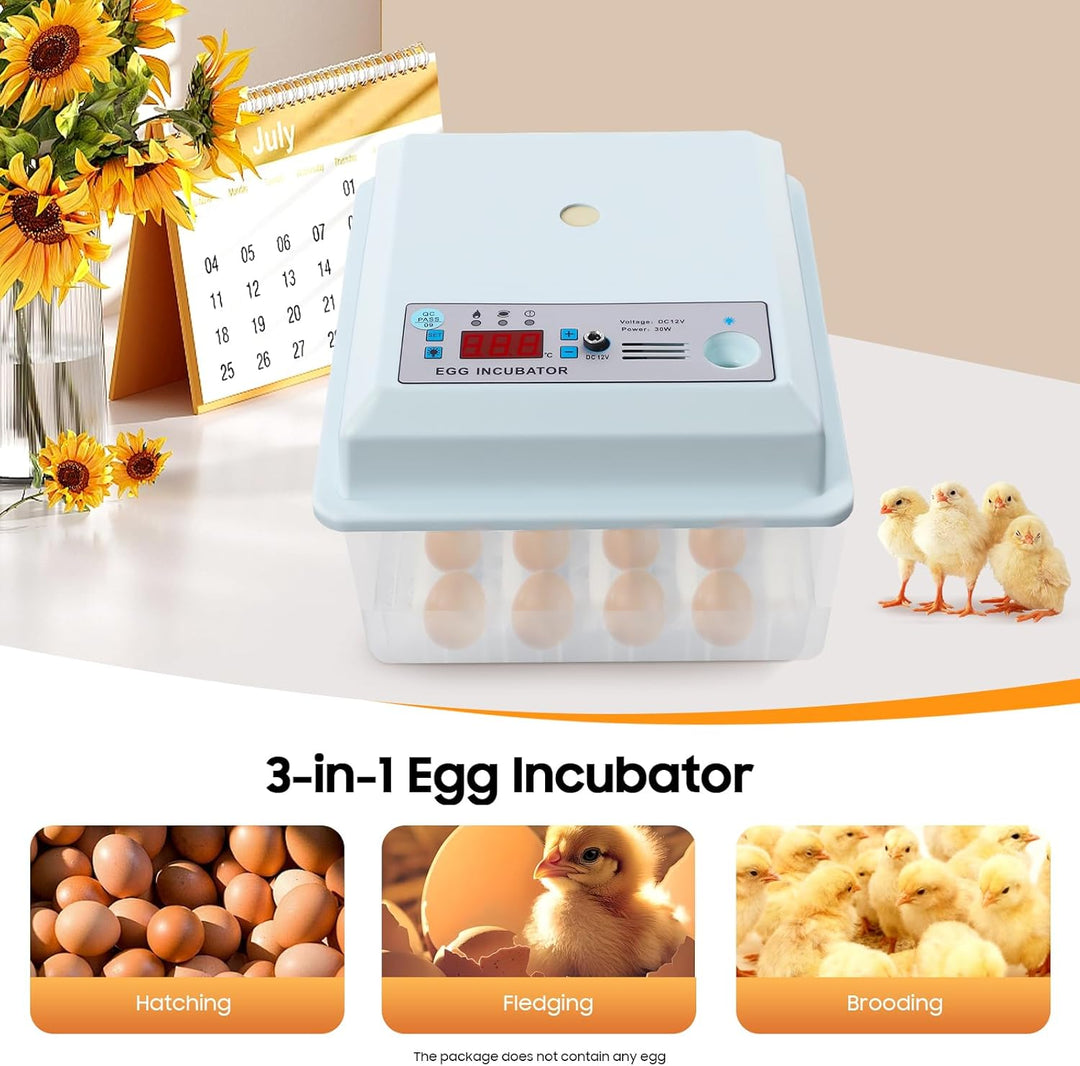 16-Eier-Hühnerbrutmaschine, Haushaltsbrutmaschine, automatische Brutmaschine für zu Hause, mit Tempe