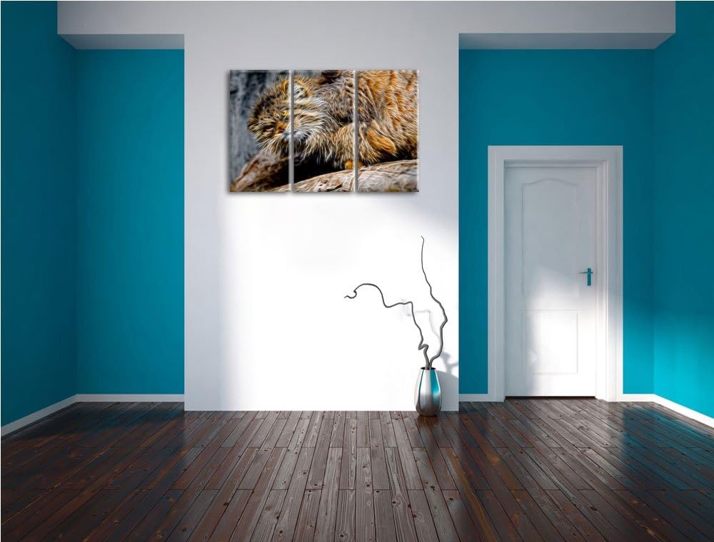 kleine Manul auf Stein Spezial 3-Teiler Leinwandbild 120x80 Bild auf Leinwand, XXL riesige Bilder fe