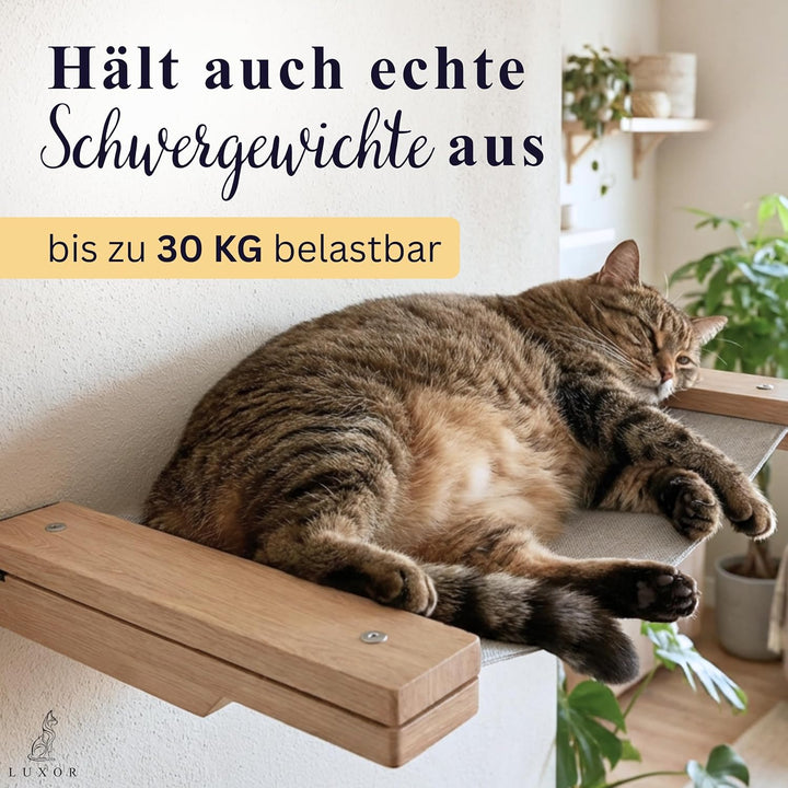 LUXOR Kletterwand Katzen Hängematte inkl. 2X Katzentreppe Wand & Befestigungsmaterial - Stabilität u
