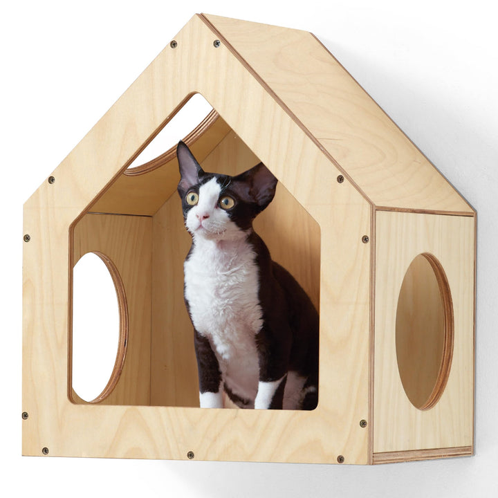 FUKUMARU Katzen Wand, Wandmontiertes Katzenhaus aus hochwertigem Birkensperrholz - Perfekter Ort zum