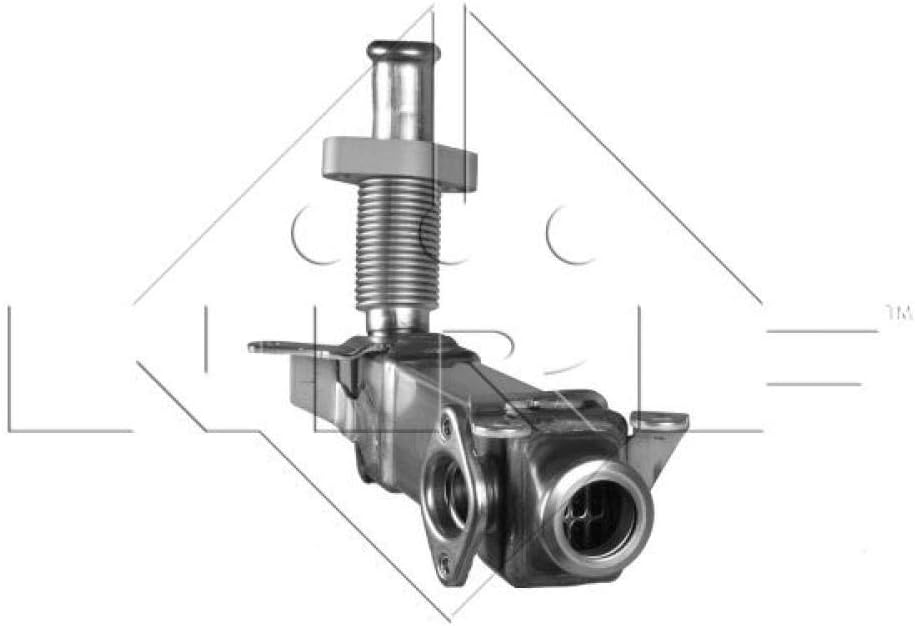 NRF 48001 AGR-Ventile