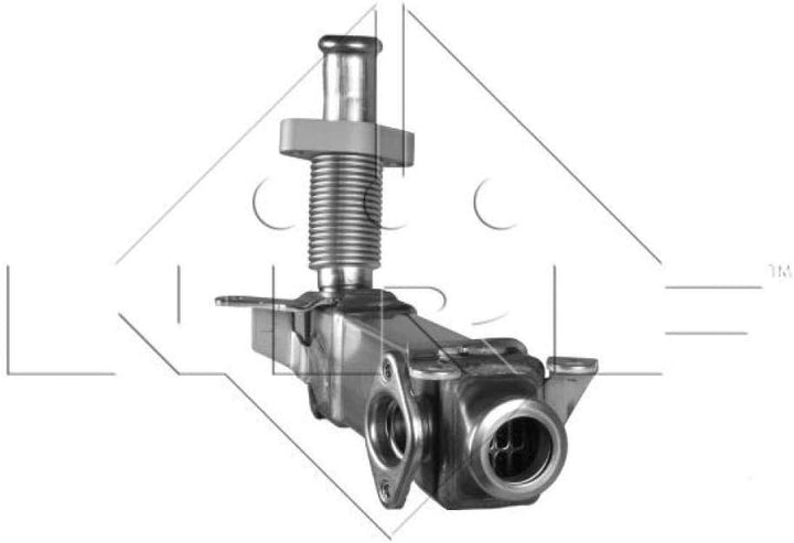 NRF 48001 AGR-Ventile