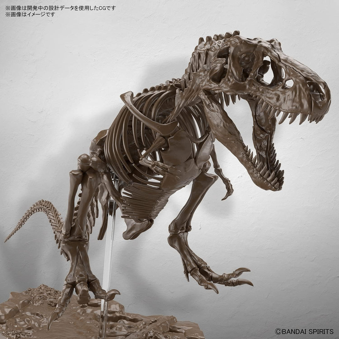 Bandai 1/32 Imaginary Skeleton Tyrannosaurus, Keine, One Size