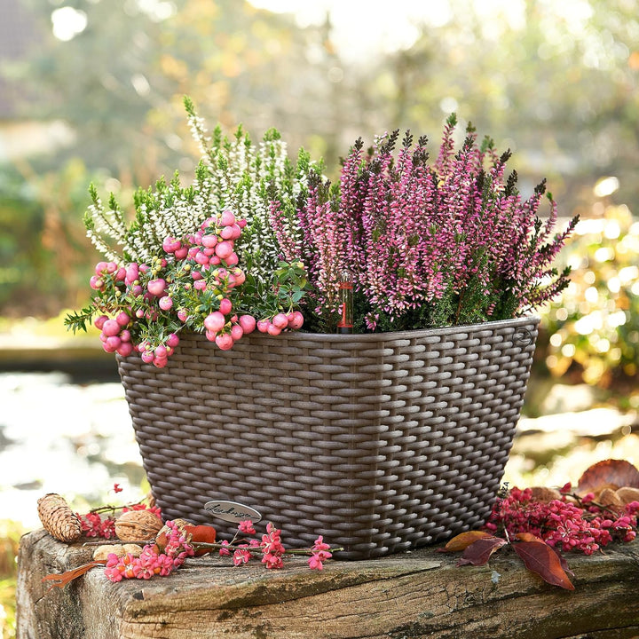 LECHUZA BACINO Cottage mokka 15455 30x30x18 cm Mokka, 30x30x18 cm Mokka