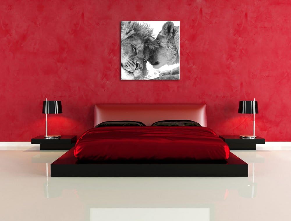 Pixxprint Bezauberndes kuschelndes Löwenpaar schwarz/weiss, Format: 70x70 auf Leinwand, 70x70