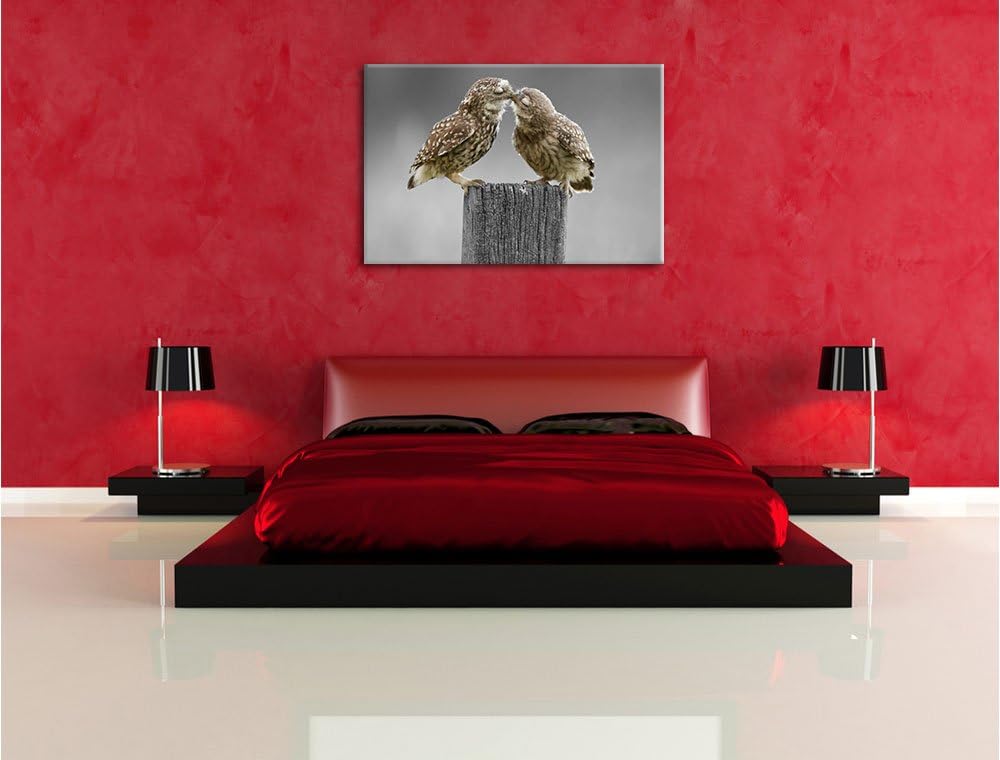 Küssende Eulen B&W Detail, Format: 100x70 auf Leinwand, XXL riesige Bilder fertig gerahmt mit Keilra