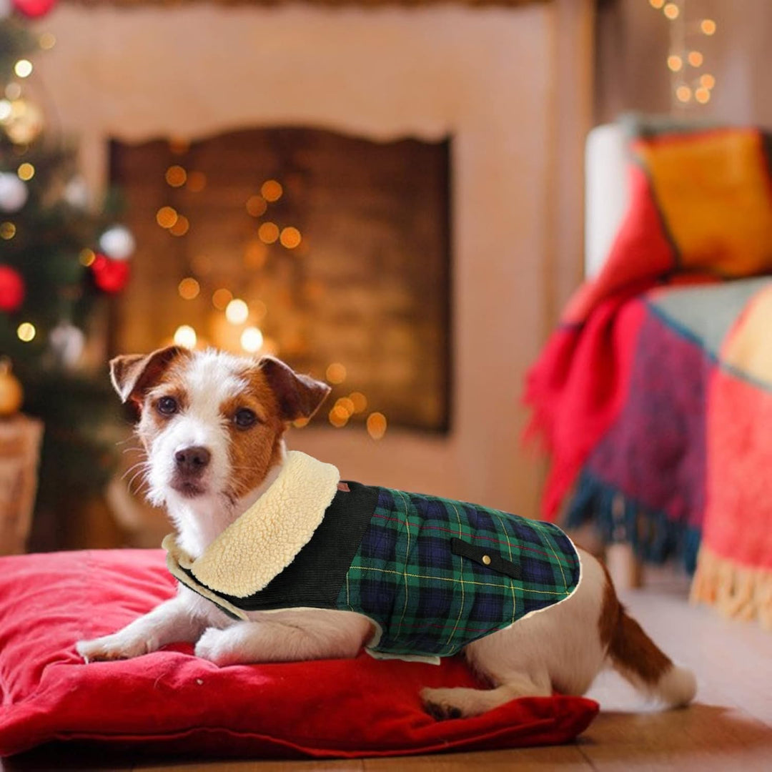 CITÉTOILE Warme Hundemantel Fleece, Wintermantel Winterjacken für Kleine/Grosse/Mittlere Hunde, Hund