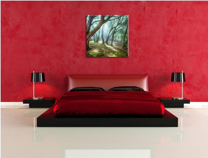 Pixxprint Wald, Format: 70x70 auf Leinwand, XXL riesige Bilder fertig gerahmt mit Keilrahmen, Kunstd