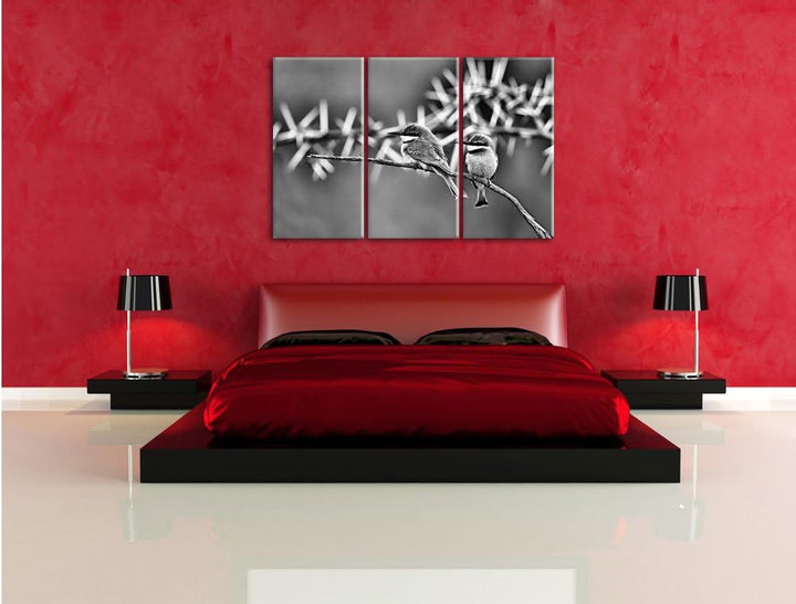 Pixxprint exotische Vögel auf AST als Leinwandbild/Grösse: 3 Teilig (120x80) cm/Wandbild/Kunstdruck/