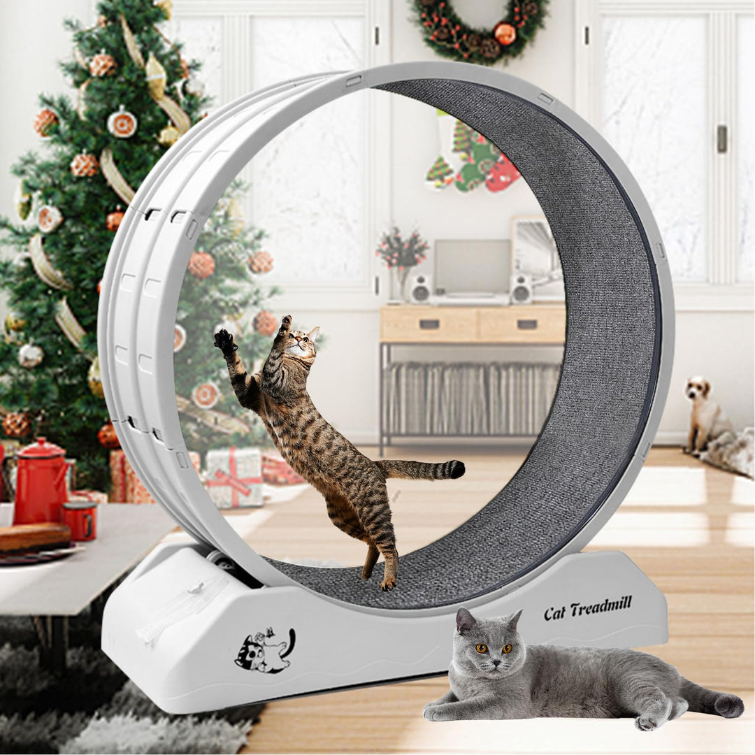 homegroove 31,5 Zoll Katzenräder für Indoor-Katzen, Plastik Katze Übung Laufband Rad mit Teppich Sta