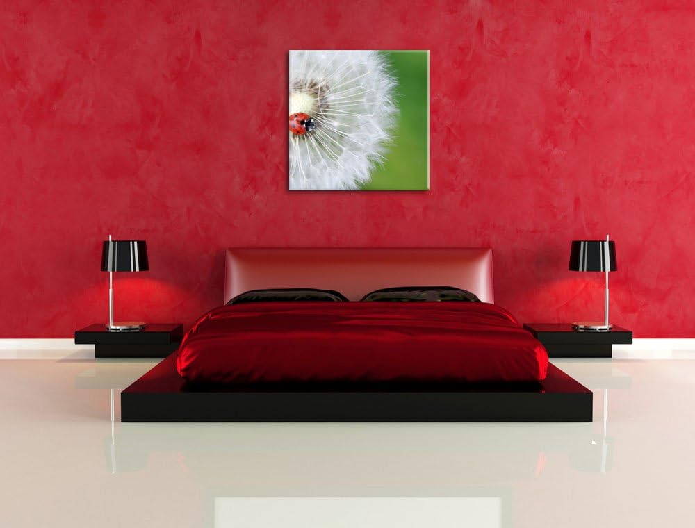 Pixxprint Kleiner Marienkäfer auf einem Löwenzahn, Format: 70x70 auf Leinwand, 70x70