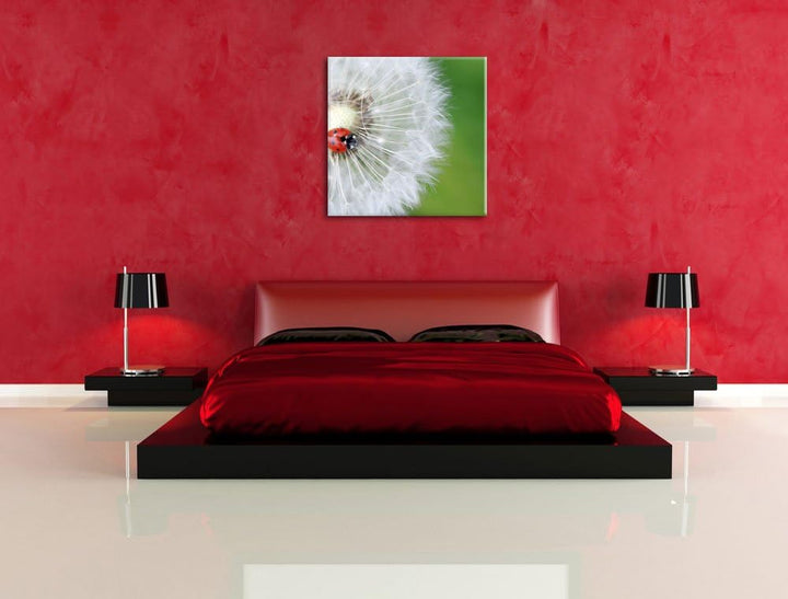 Pixxprint Kleiner Marienkäfer auf einem Löwenzahn, Format: 70x70 auf Leinwand, 70x70