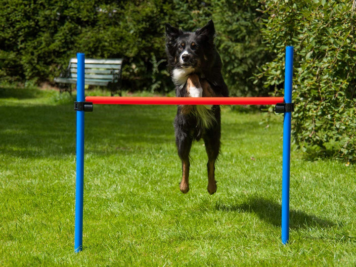 Hürde rot/blau mit Tragetasche, Agility Training für Hunde, Hundesport, Parcours für Hundetraining