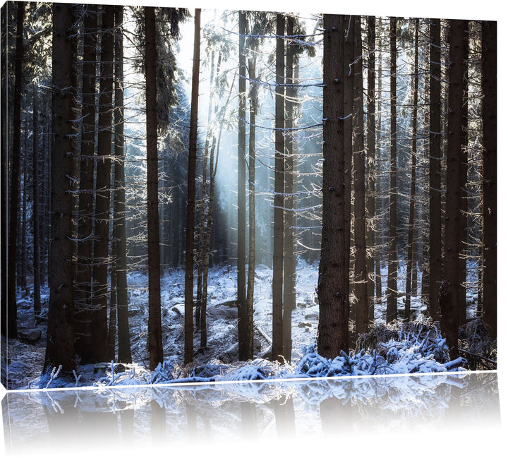 Pixxprint Winterwald Bild Format: 100x70 auf Leinwand, XXL riesige Bilder fertig gerahmt mit Keilrah