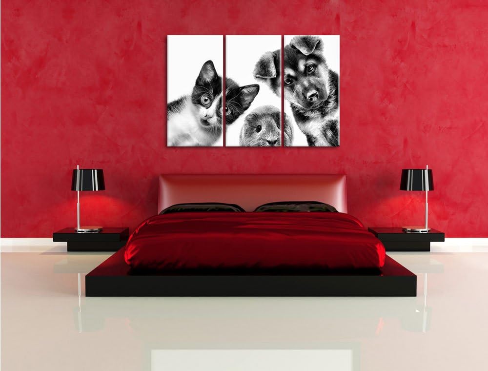 Pixxprint Trio Hund Katze Meerschwein als Leinwandbild/Grösse: 3 Teilig (120x80) cm/Wandbild/Kunstdr