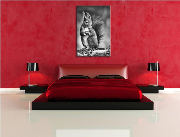 Pixxprint Freches Eichhörnchen mit Nuss als Leinwandbild/Grösse: 100x70 / Wandbild/Kunstdruck/fertig