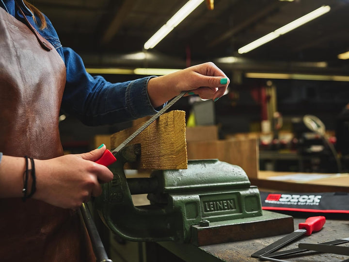 F. DICK Feilen, Raspel -Satz 5tlg. 200 mm (Feile, Raspel für allgemeine Arbeiten, Hieb 2, Holz, Stah