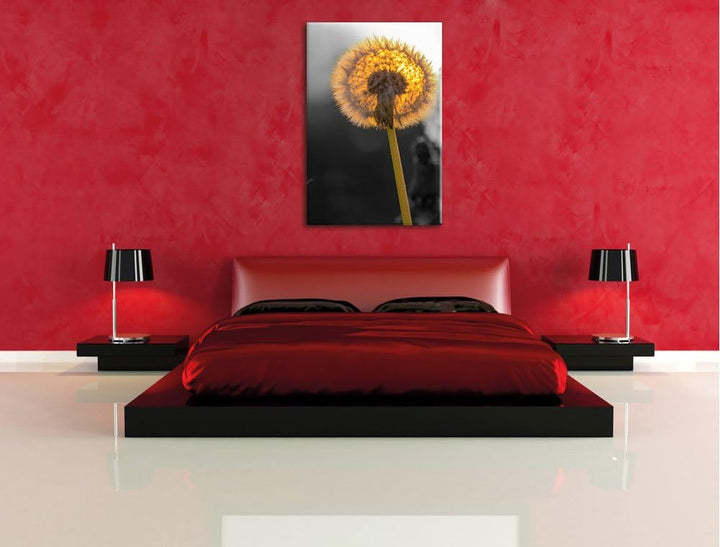 Pixxprint schöne Pusteblumen beim Sonnenuntergang schwarz/weiss, Format: 70x100 auf hochkantiges Lei