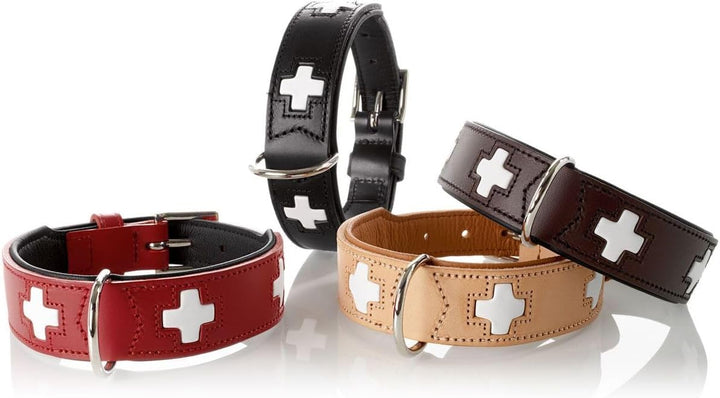 HUNTER SWISS Hundehalsband, Leder, hochwertig, schweizer Kreuz, 37 (XS-S), natur/beige natur/beige 3