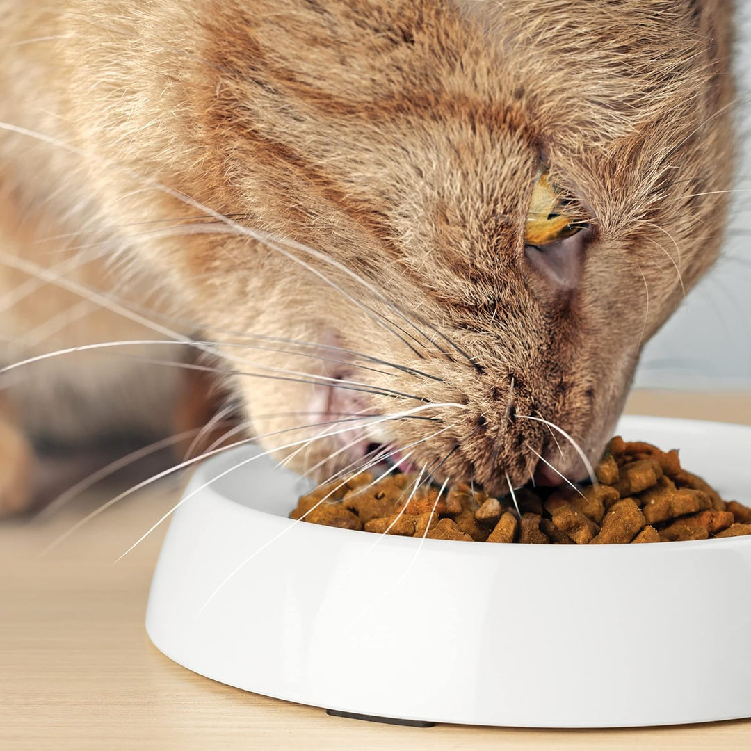 CatGuru Katzennäpfe, Schnurrhaar, stressfreier Futternapf, lindert Müdigkeit, breite, rutschfeste Fl