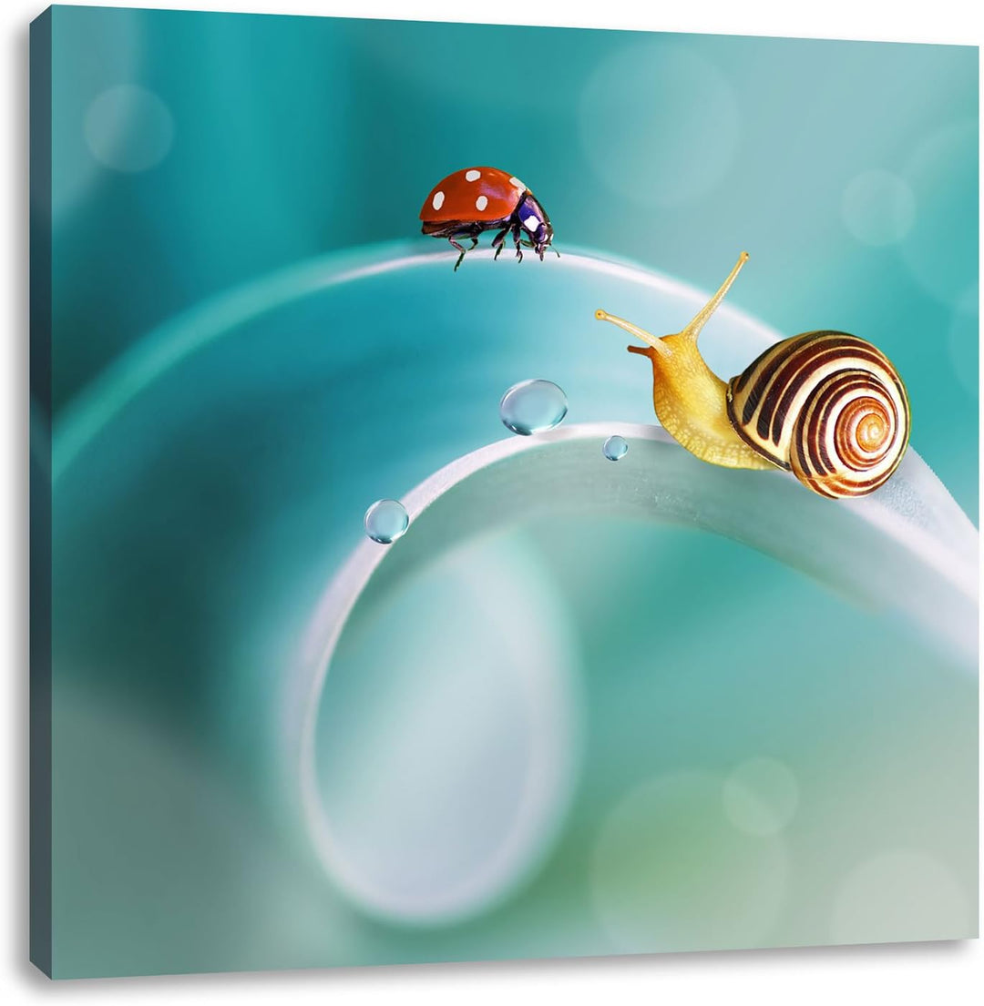 Pixxprint eine Schnecke und Marienkäfer auf Einer Pflanze, Format: 70x70 auf Leinwand, 70x70