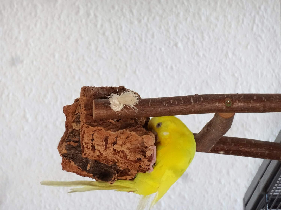 Vogelgaleria® Kork Pickstein Knabberparadies für Wellensittich, Nymphensittich und Unzertrennliche i