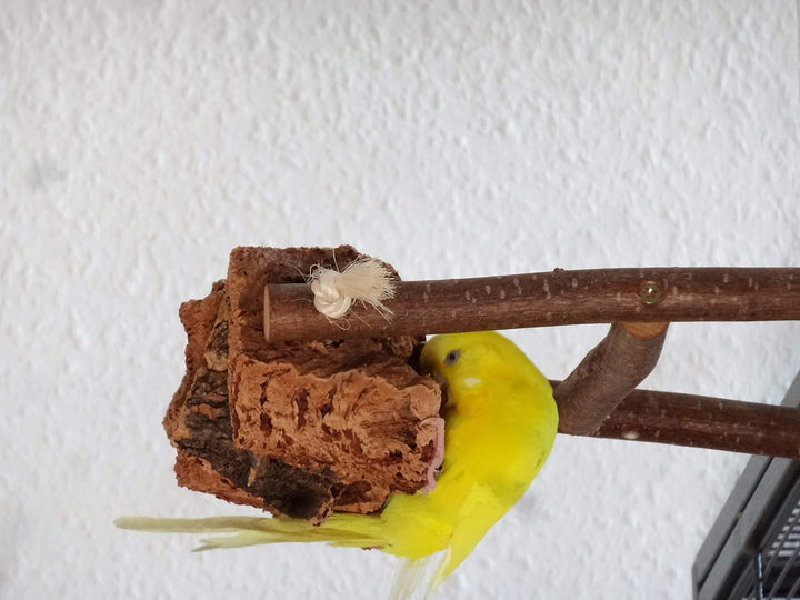 Vogelgaleria® Kork Pickstein Knabberparadies für Wellensittich, Nymphensittich und Unzertrennliche i