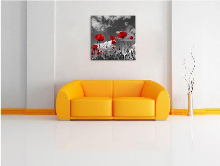 Pixxprint Wiese mit Blumen / 70x70cm Leinwandbild bespannt auf Holzrahmen/Wandbild Kunstdruck Dekora