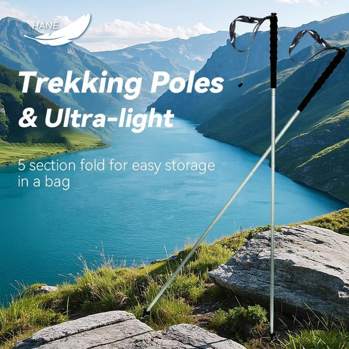KEALING Trekkingstöcke aus Carbonfaser, 2 Klappstöcke, 5 Abschnitte, ultraleicht, Trekking und Bergs
