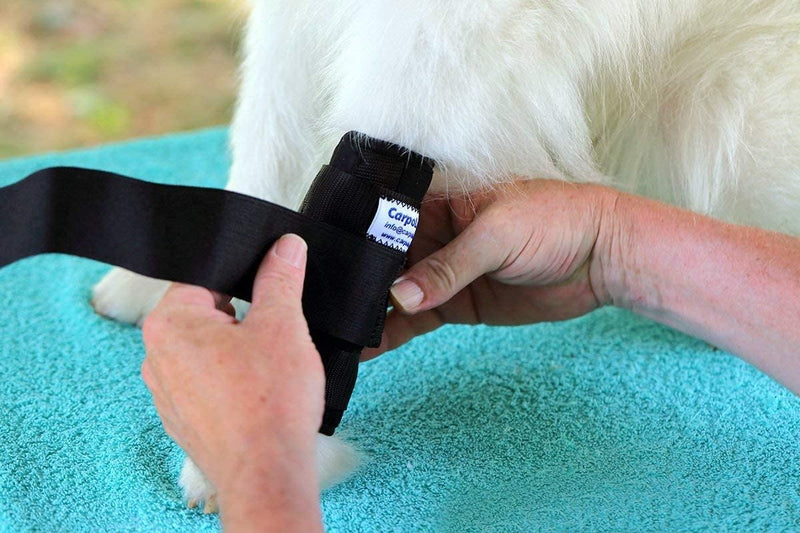 Nature Pet Premium Hunde Handgelenk Bandage/Karpalgelenk Schutz Bandage/Stützbandage für Hunde (S, G