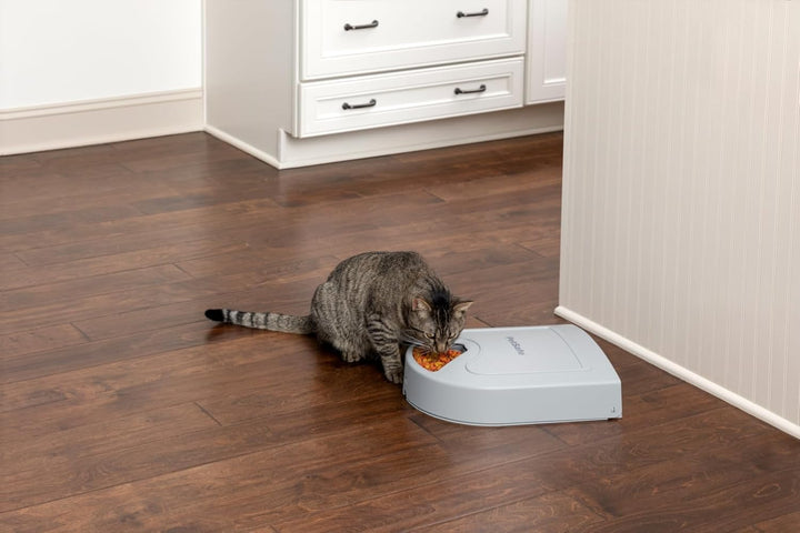 PetSafe Futterautomat für 5 Mahlzeiten für Hunde und Katzen, Futterspender, Mahlzeiten planen, 5 Sch
