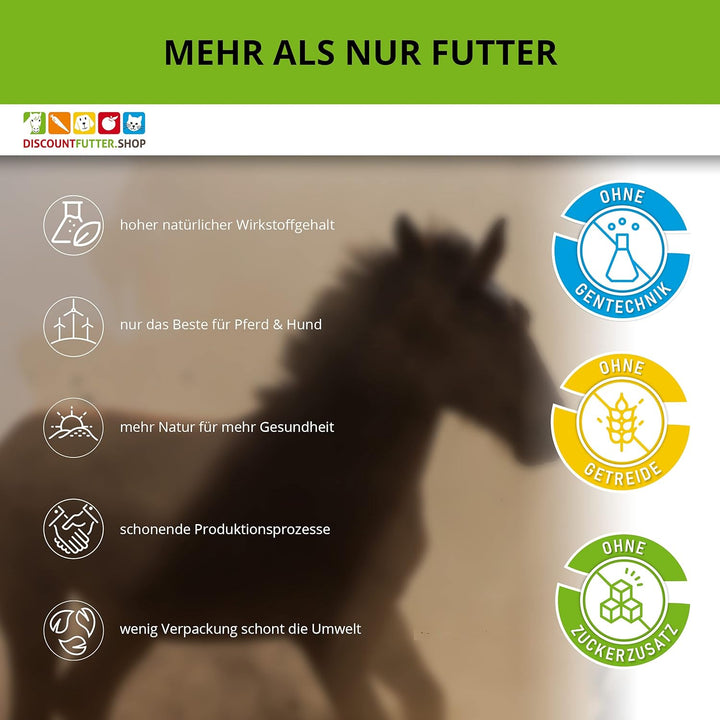 Leinöl 100 (2 x 5 Liter BiB) für Pferde | kaltgepresst | 70% weniger Verpackung (Plastik) | glänzend