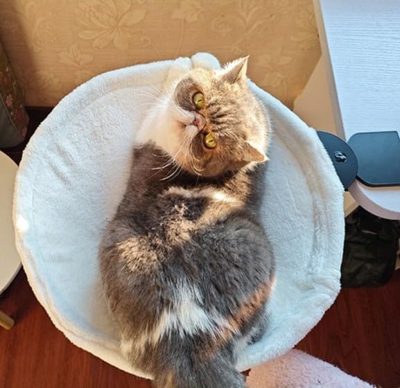 Katzenbett für Schreibtisch Weiche Katzenhängematte Katzenbett zum Schlafen Waschbares katzenkorb Ka