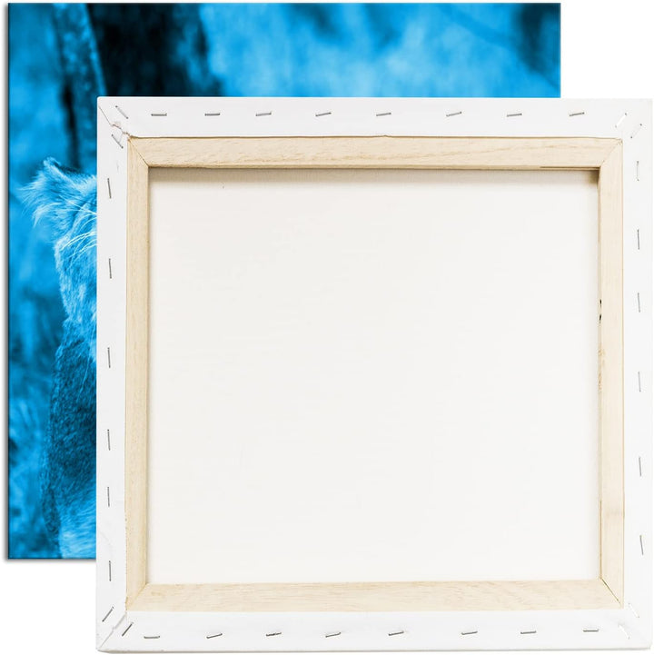deyoli brüllende Löwin Format: 70x70 Effekt: Zeichnung als Leinwandbild, Motiv auf Echtholzrahmen, H
